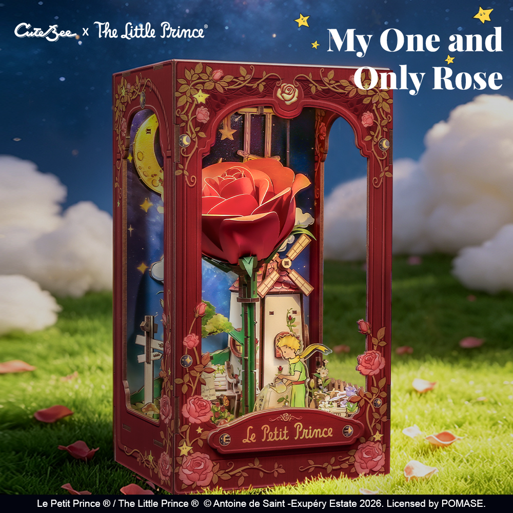 My One and Only Rose